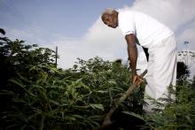 Foto Campesino Negro by David Estrada